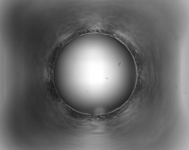 X0000089761207200706211537