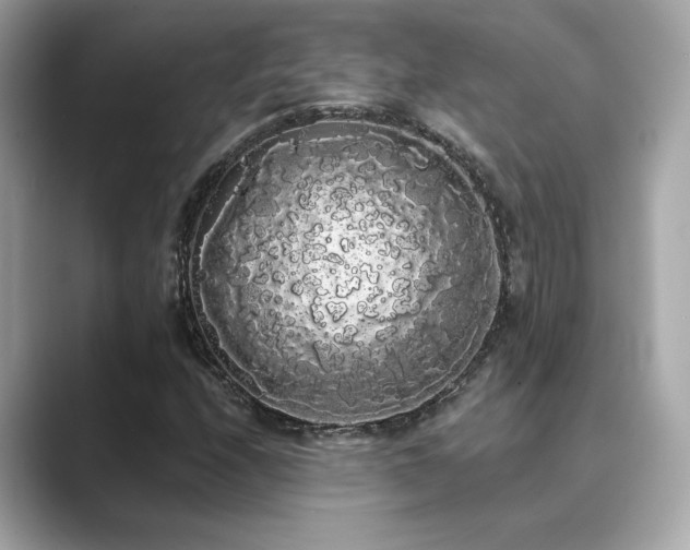 X0000089761208200706211537