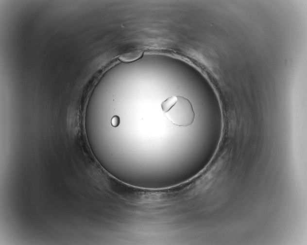 X0000089761211200706211537