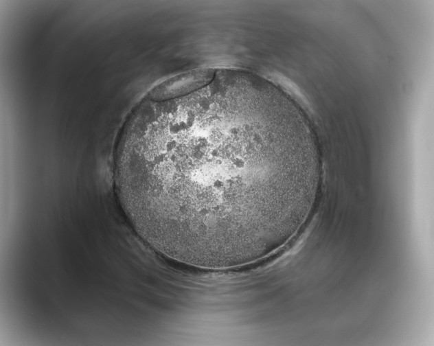 X0000089761212200706211537