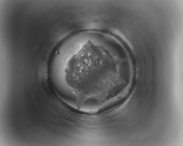 X0000089761213200706211537
