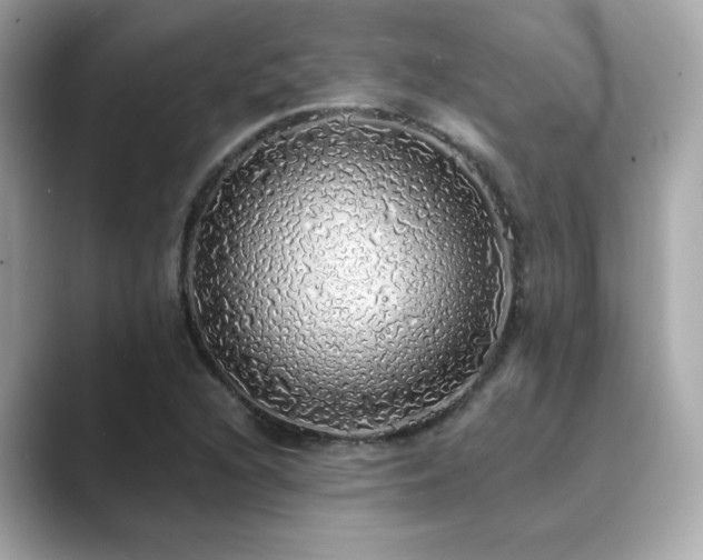 X0000089761216200706211537