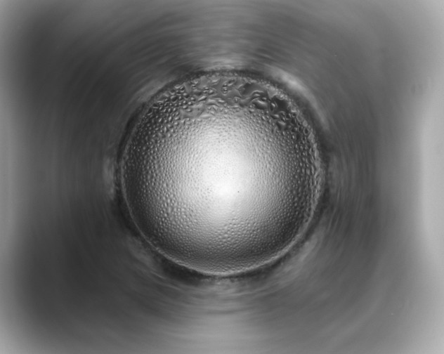 X0000089761217200706211537