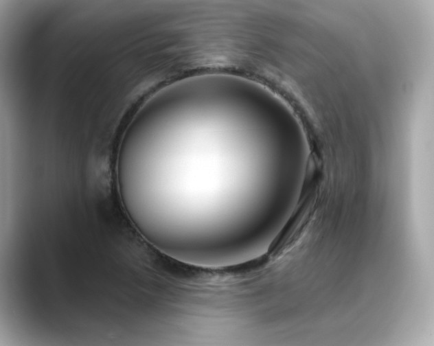 X0000089761218200706211537