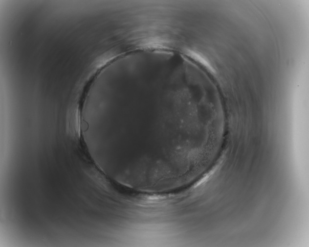 X0000089761219200706211537