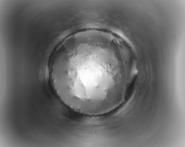 X0000089761221200706211537