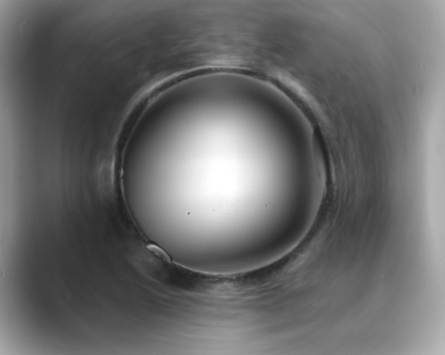 X0000089761222200706211537