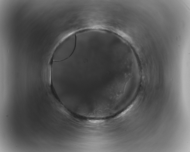 X0000089761223200706211537