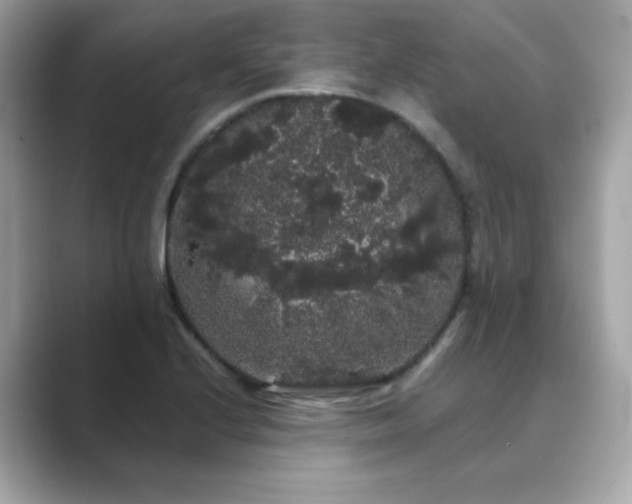 X0000089761224200706211537