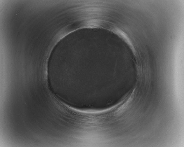 X0000089761226200706211537