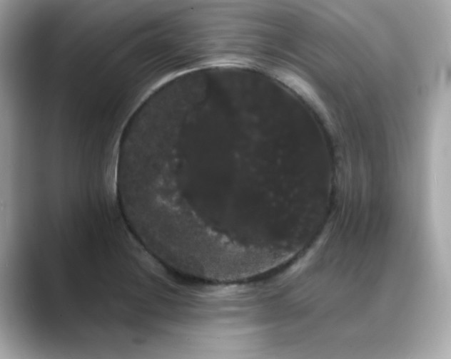 X0000089761228200706211537