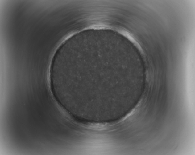 X0000089761229200706211537