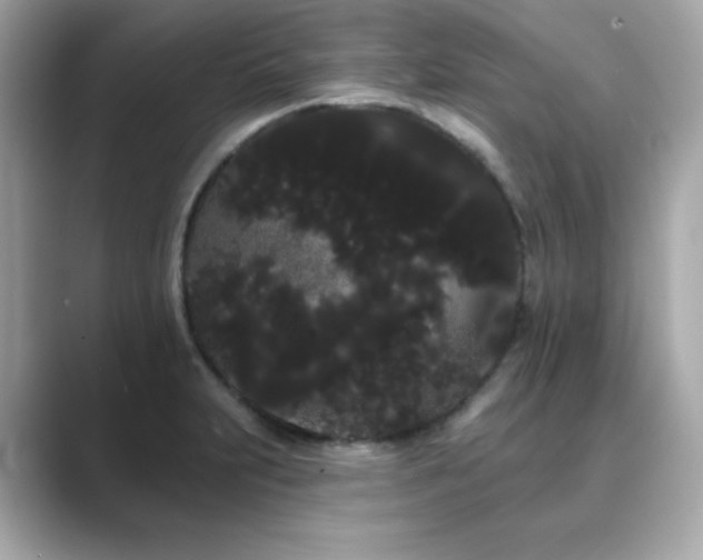 X0000089761231200706211537