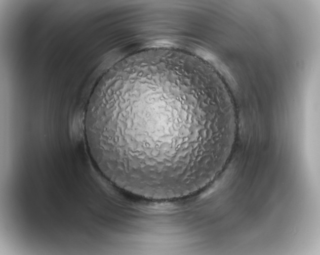 X0000089761233200706211538