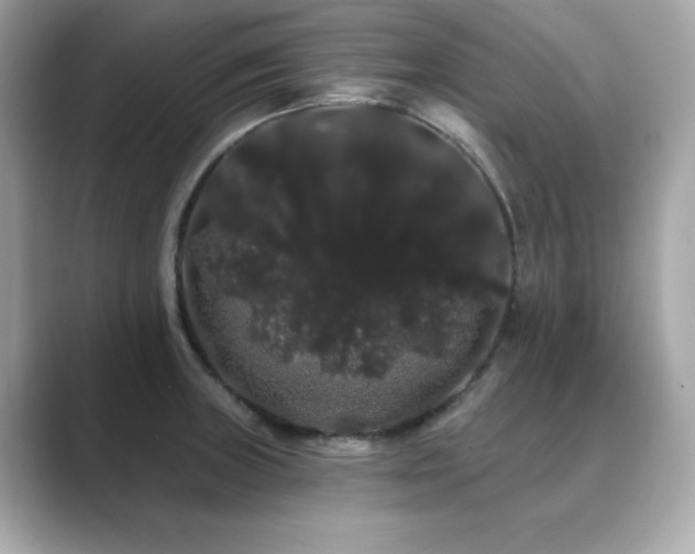 X0000089761235200706211538