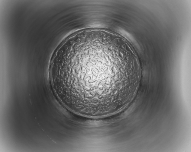 X0000089761236200706211538