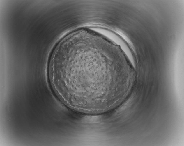 X0000089761237200706211538
