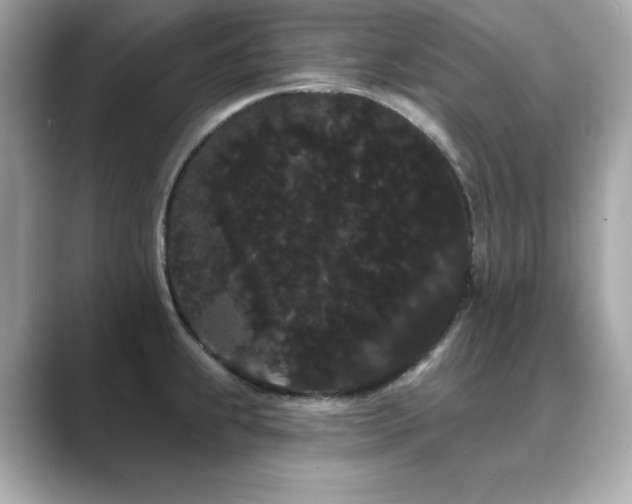 X0000089761239200706211538