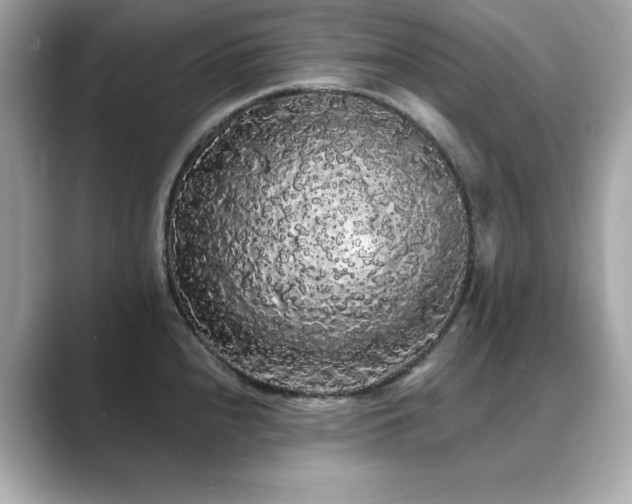 X0000089761240200706211538