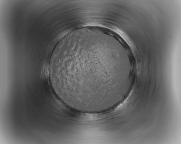 X0000089761241200706211538
