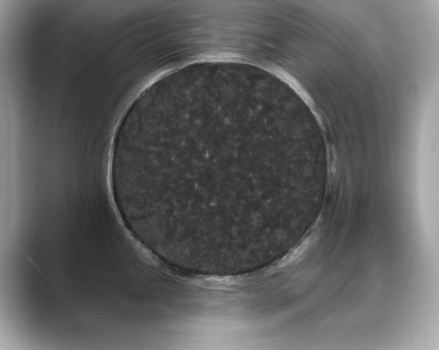 X0000089761245200706211538