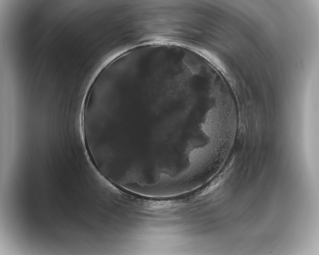 X0000089761247200706211538