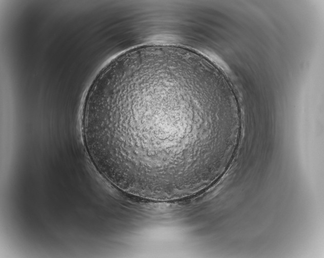 X0000089761248200706211538