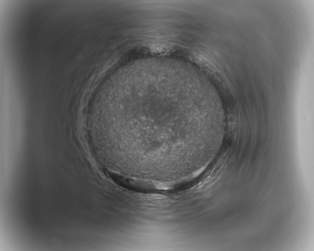 X0000089761249200706211537