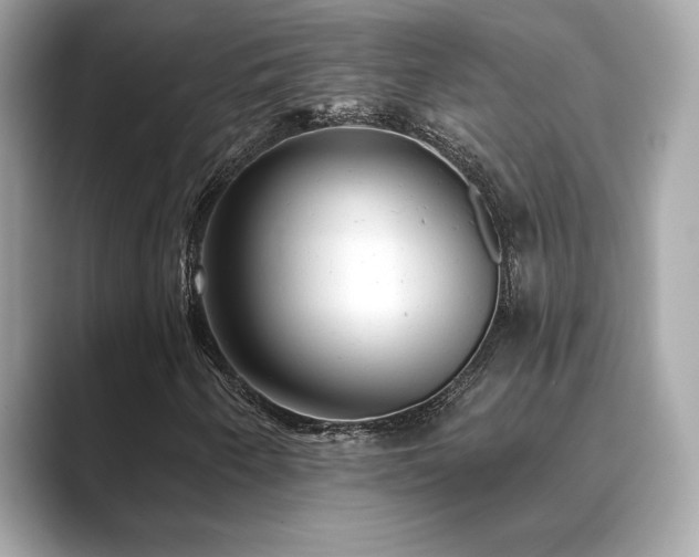 X0000089761250200706211537