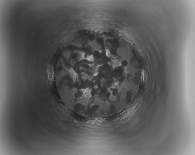 X0000089761251200706211537
