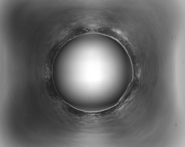 X0000089761253200706211537
