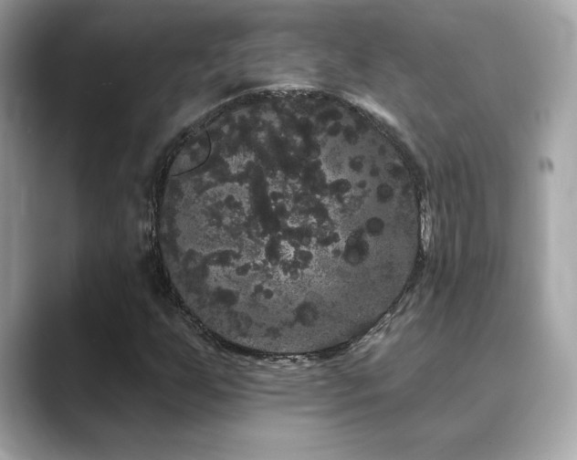 X0000089761255200706211537