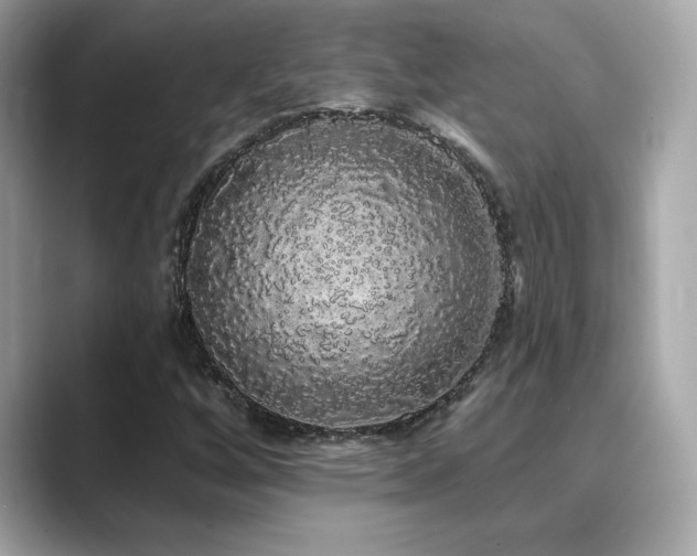 X0000089761256200706211537
