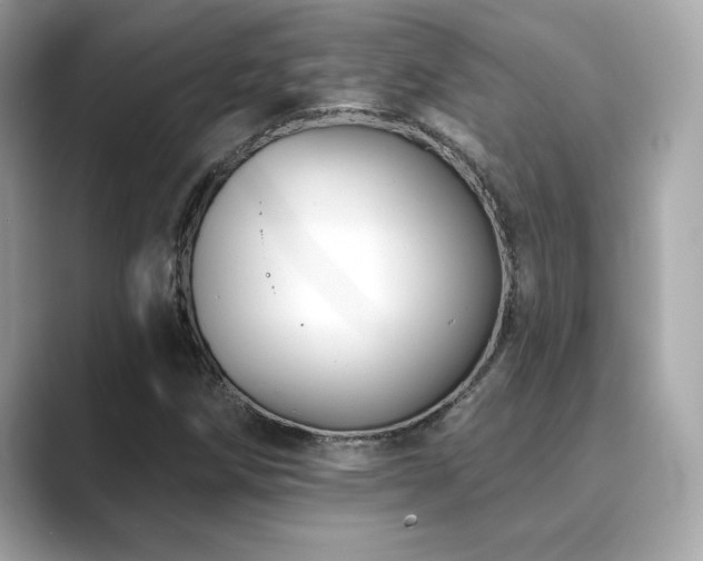 X0000089761258200706211537