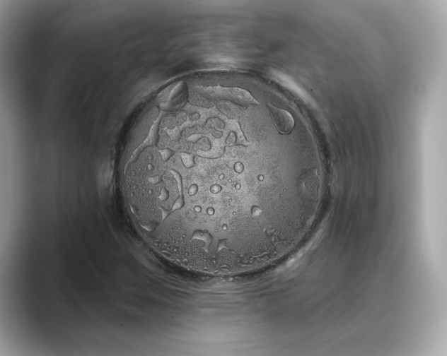 X0000089761259200706211537