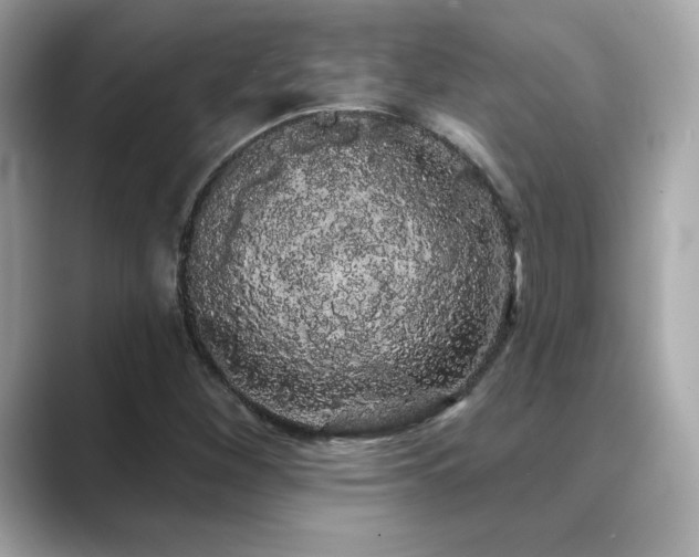 X0000089761260200706211537