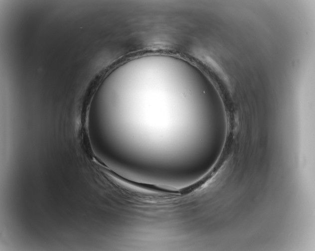 X0000089761261200706211537