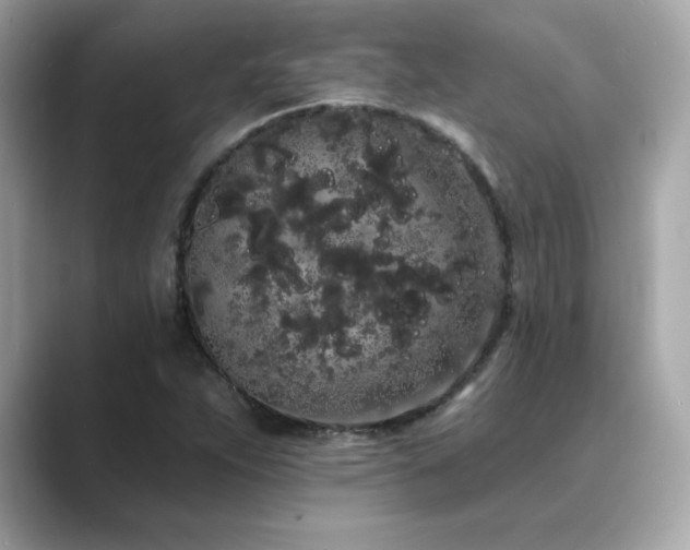 X0000089761263200706211537