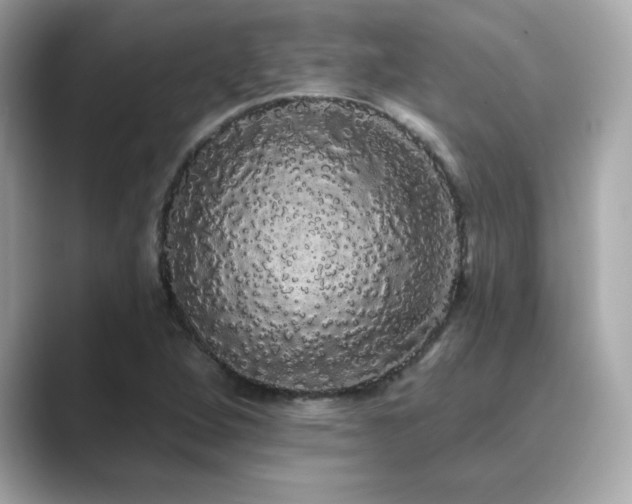 X0000089761264200706211537