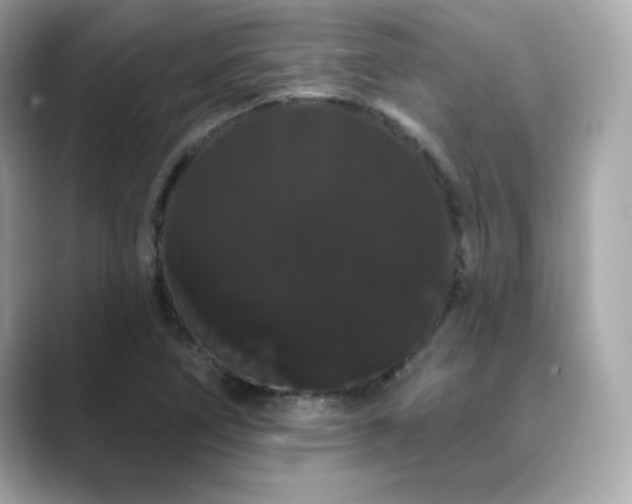 X0000089761266200706211537