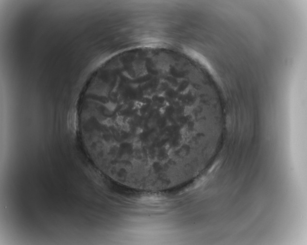 X0000089761267200706211537