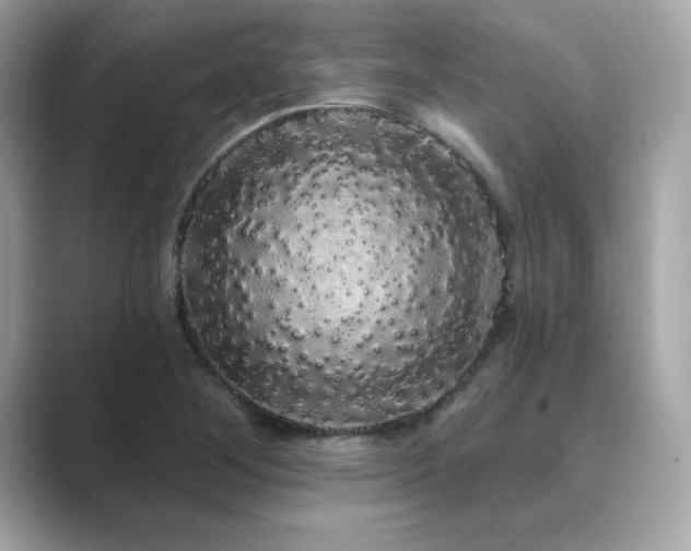X0000089761268200706211537