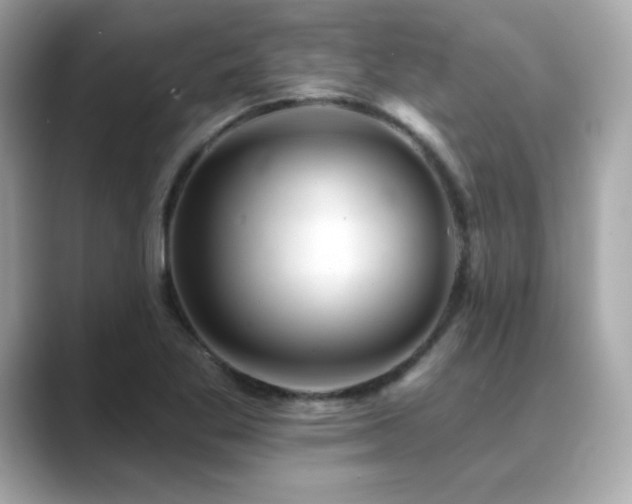 X0000089761269200706211537