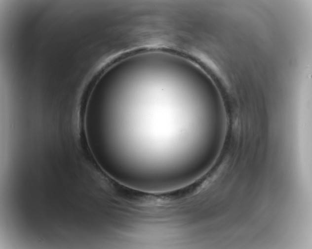 X0000089761270200706211537