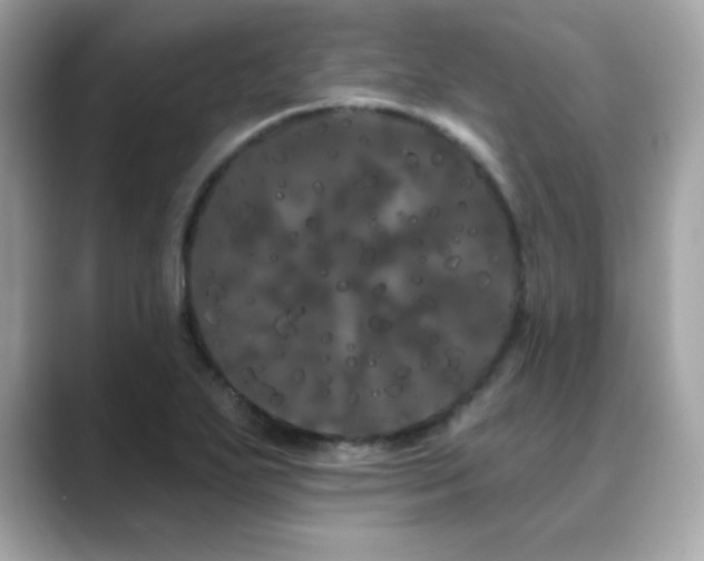 X0000089761271200706211537