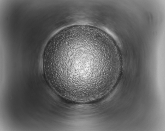 X0000089761272200706211537