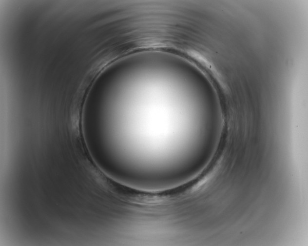 X0000089761273200706211537