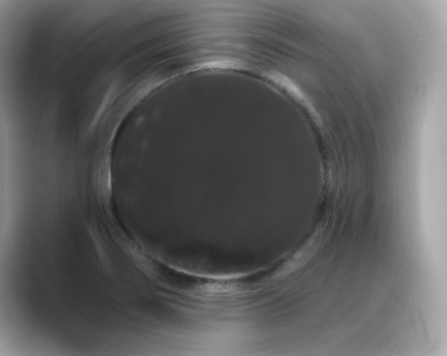 X0000089761274200706211537