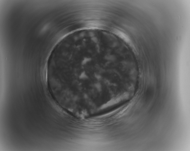 X0000089761275200706211537