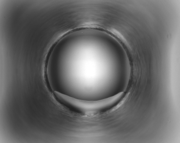 X0000089761277200706211537